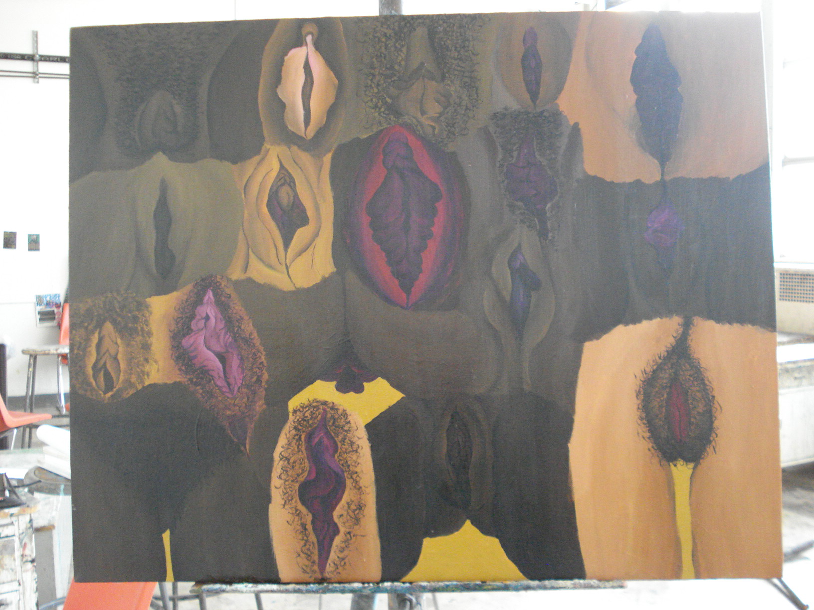 Vulvas of Color