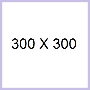 300X300