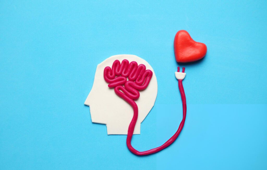 head or heart